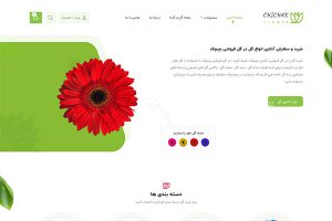 طراحی سایت گل فروشی آنلاین
